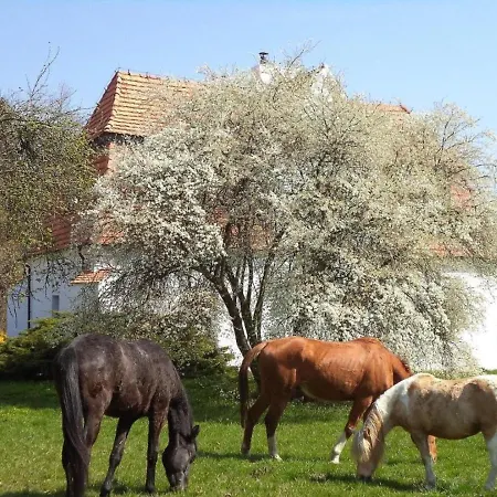 W Zabytkowym Parku Nad Jeziorem Apartment *