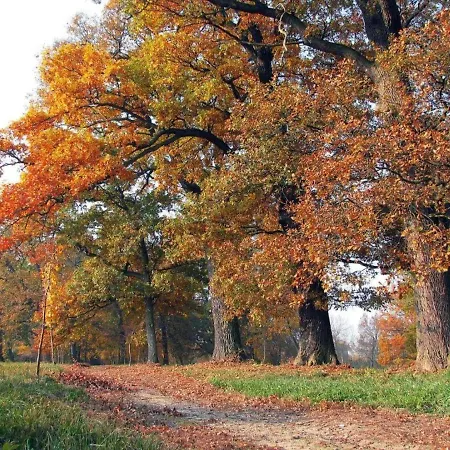 W Zabytkowym Parku Nad Jeziorem * Jeziory Wielkie