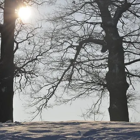 W Zabytkowym Parku Nad Jeziorem * Jeziory Wielkie