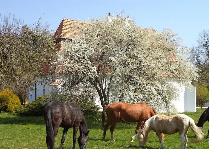 W Zabytkowym Parku Nad Jeziorem Daire *