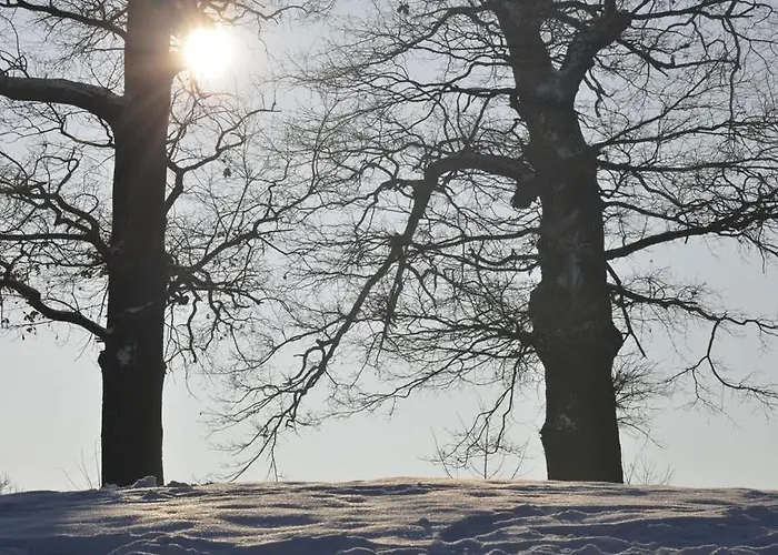 W Zabytkowym Parku Nad Jeziorem * Jeziory Wielkie